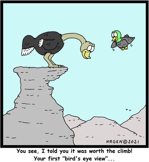 "You see, I told you it was worth the climb! Your first 'bird's eye view'. . ."