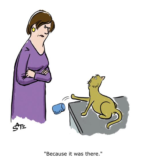"Because it was there."