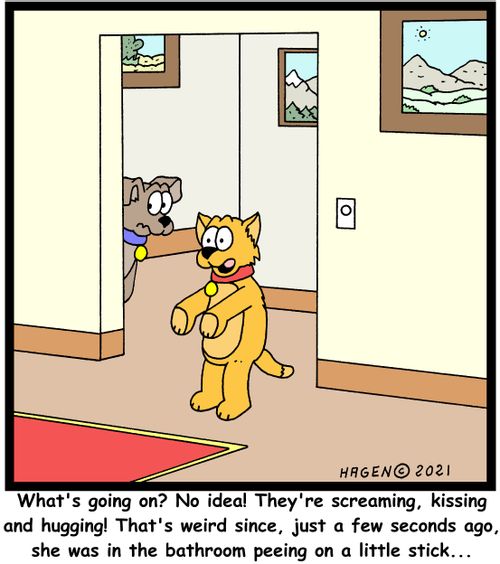 "What's going on? No idea! They're screaming, kissing and hugging! That's weird since, just a few second ago, she was in the bathroom peeing on a little stick..."