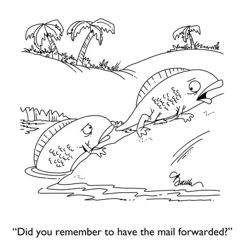 "Did you remember to have the mail forwarded?"