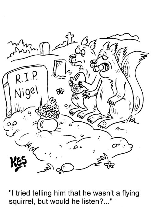"I tried telling him that he wasn't a flying squirrel, but would he listen?..."