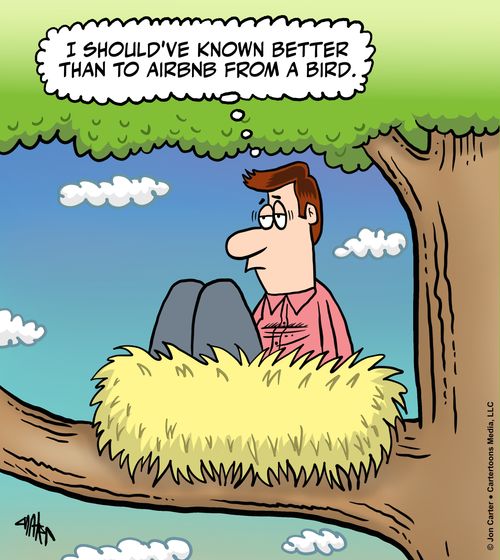 "I should've known better than to AirBNB from a bird."