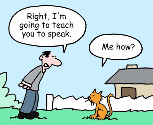 "Right, I'm going to teach you to speak."