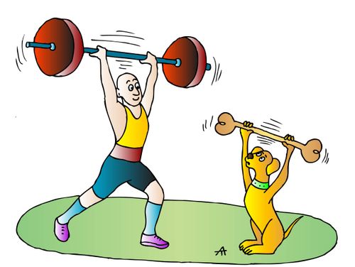 Dog Weightlifting