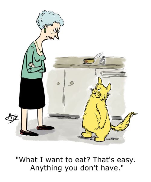 "What I want to eat? That's easy. Anything you don't have."