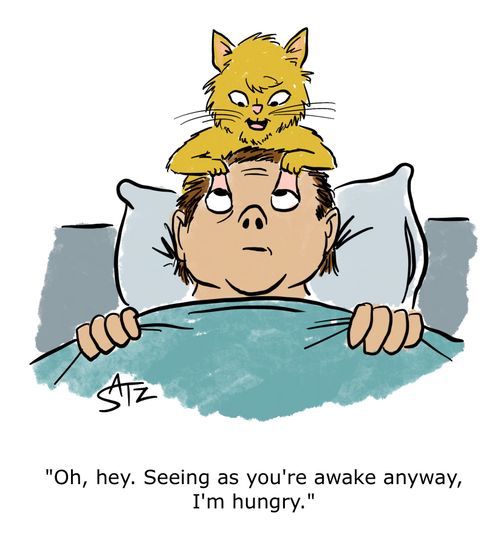"Oh, hey. Seeing as you're awake anyway, I'm hungry."