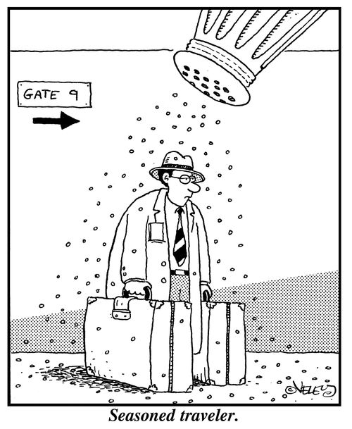 Seasoned Traveler