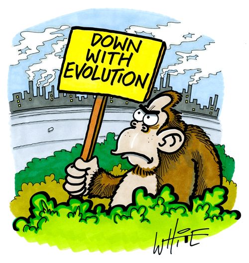 Down With Evolution
