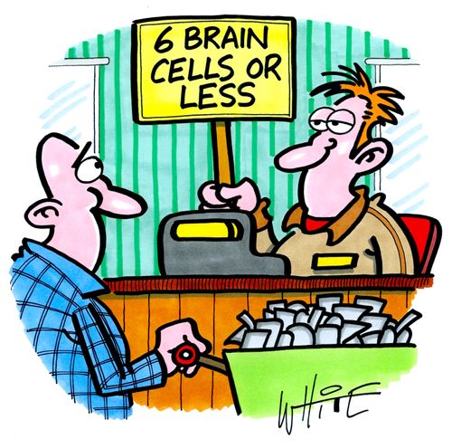6 Brain Cells Or Less