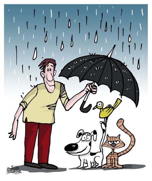 Animal protection