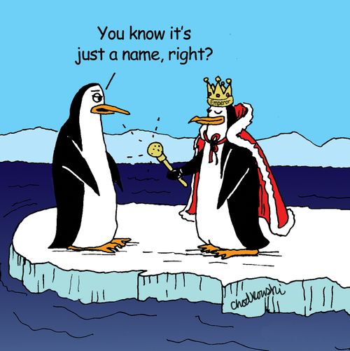 "You know it's just a name, right?"
