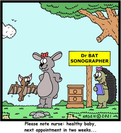 "Please note nurse: healthy baby, next appointment in two weeks..."
