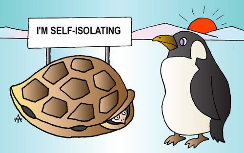 I'm Self-Isolating