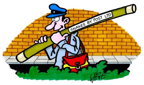 Snakes By Post LTD