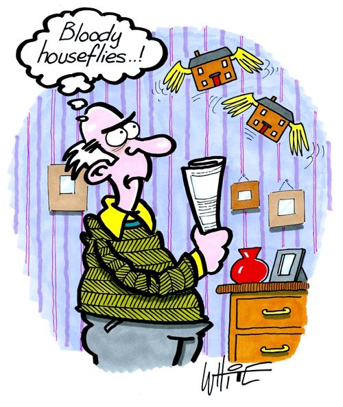 "Bloody houseflies...."