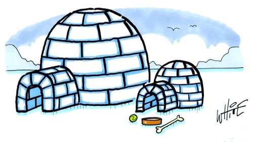 Dog Igloo