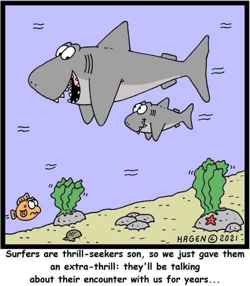 "Surfers are thrill seekers son, so we just gave them an extra thrill: they'll be talking about their encounter with us for years..."