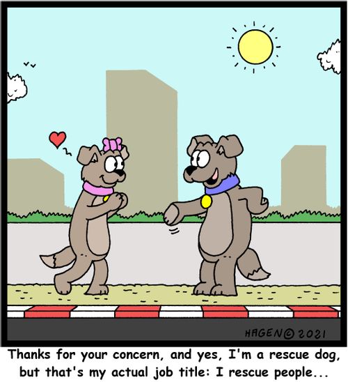 "Thanks for your concern, and yes, I'm a rescue dog, but that's my actual job title: I rescue people..."