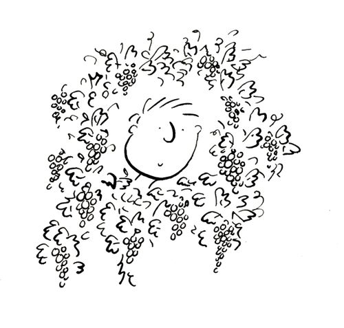 Vineyard Portrait