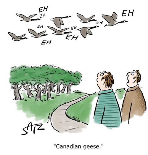 "Canadian geese."