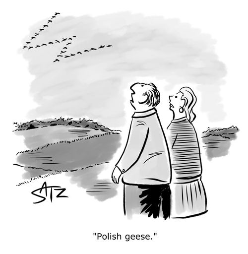 "Polish geese."