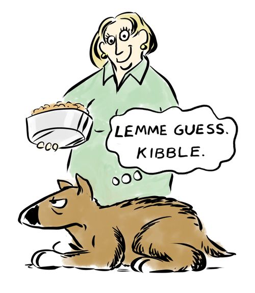 "Lemme guess. Kibble."