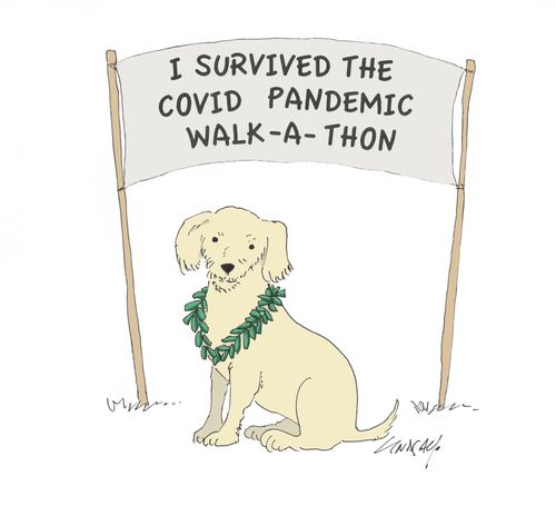 I survived the Covid Pandemic Walk-A-Thon