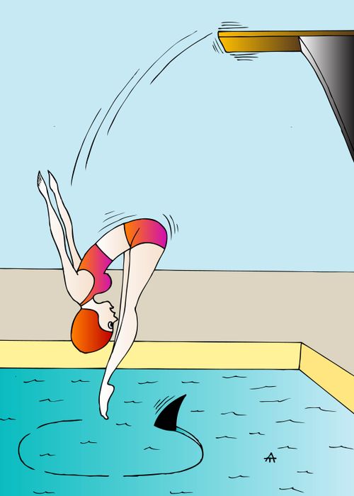 Diving into a shark pool