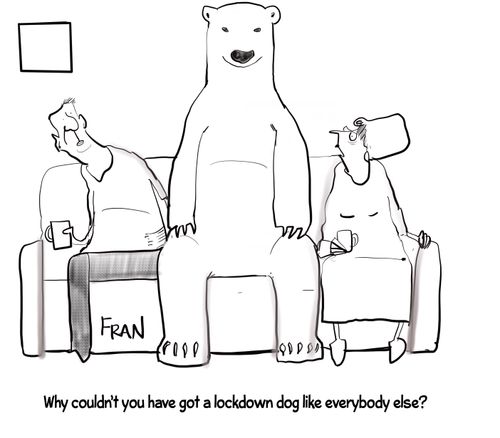 "Why couldn't you have got a lockdown dog like everybody else?"