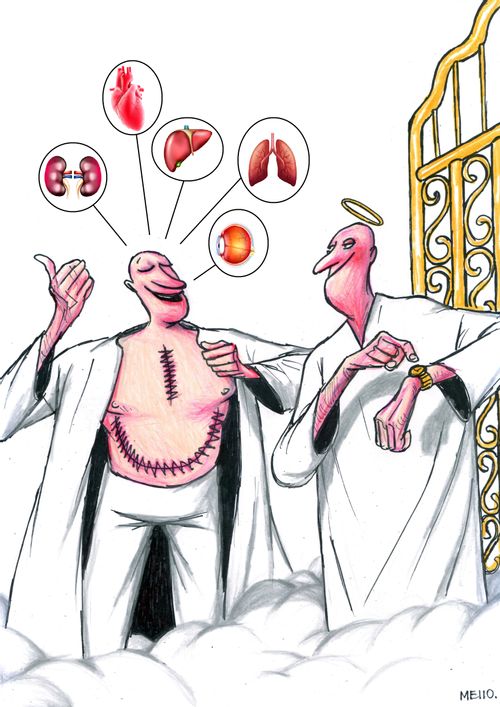 Organ Donor