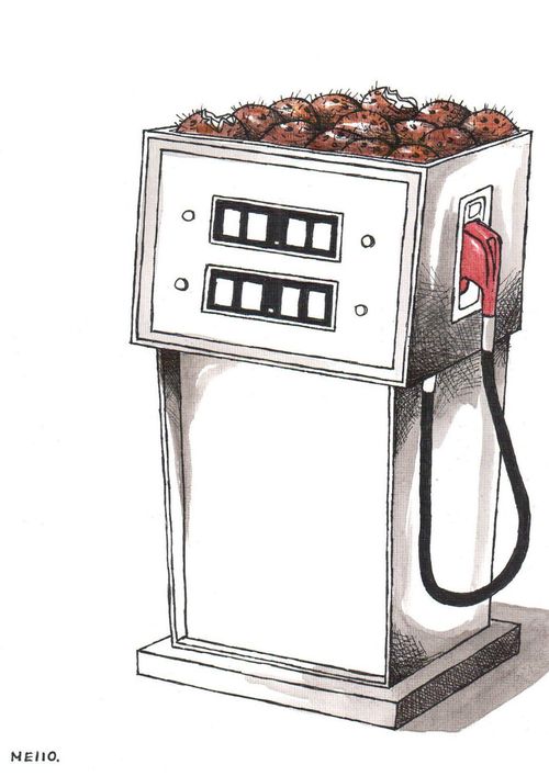 Biofuel