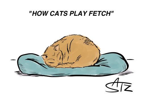 How cats play fetch.