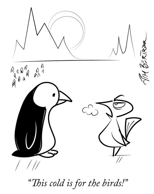 "This cold is for the birds!"