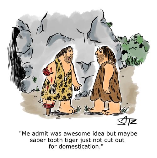"Me admit was awesome idea but maybe saber tooth tiger just not cut out for domestication."