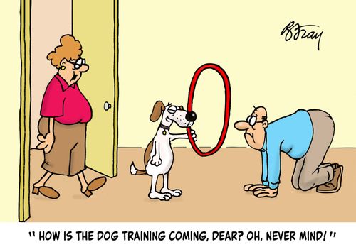 "How is the dog training coming, dear? Oh, never mind!"