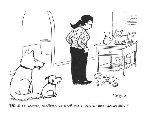 "Here it comes, another one of his classic non-apologies." 