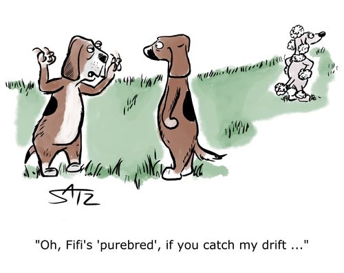 "Oh, Fifi's 'purebred', if you catch my drift. . ."
