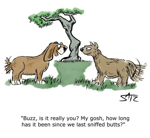 "Buzz, is it really you? My gosh, how long has it been since we last sniffed butts?"