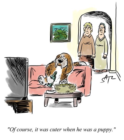 "Of course, it was cuter when he was a puppy."