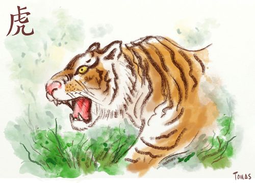 Year of the Tiger - 2022