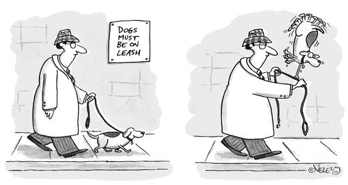 Dogs must be on leash.