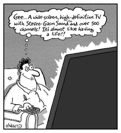 "Gee... A wide screen, high-definition TV with Stereo-Gasm Sound and over 500 channels! It's almost like having a life!"