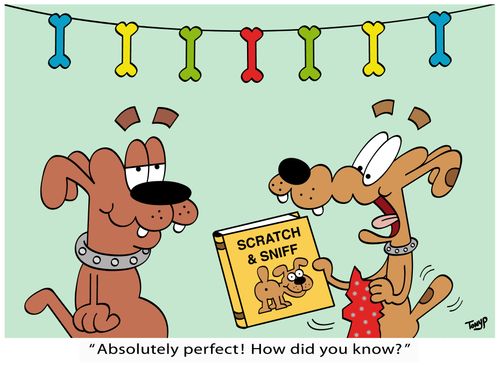 "Absolutely perfect! How did you know?"