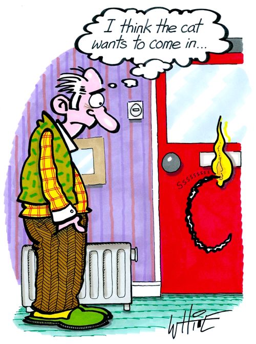 "I think the cat wants to come in. . ."