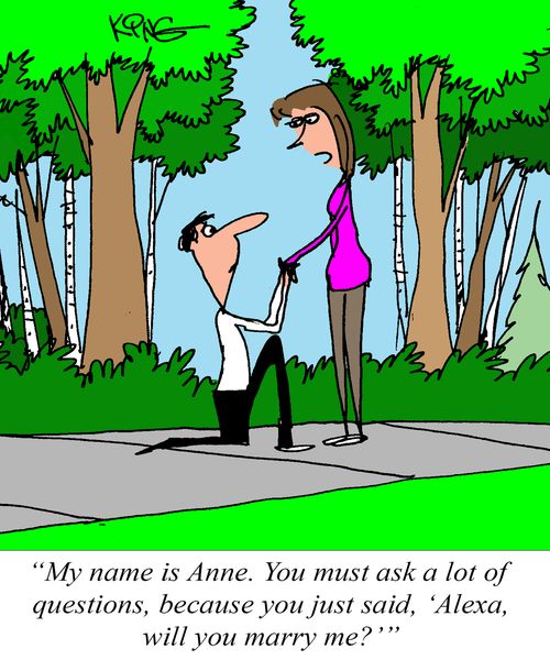"My name is Anne. You must ask a lot of questions, because you just said, 'Alexa, will you marry me?'"