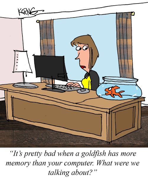 "It's pretty bad when a goldfish has more memory than your computer. What were we talking about?"