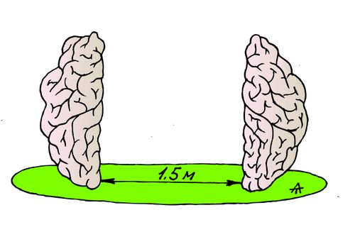 Brain Social Media
