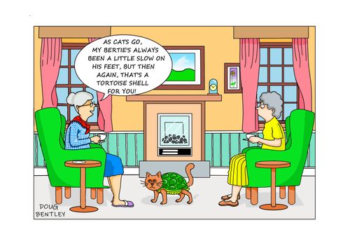 "As cats go, my Bertie's always been a little slow on his feet, but then again, that's a tortoise shell for you!"