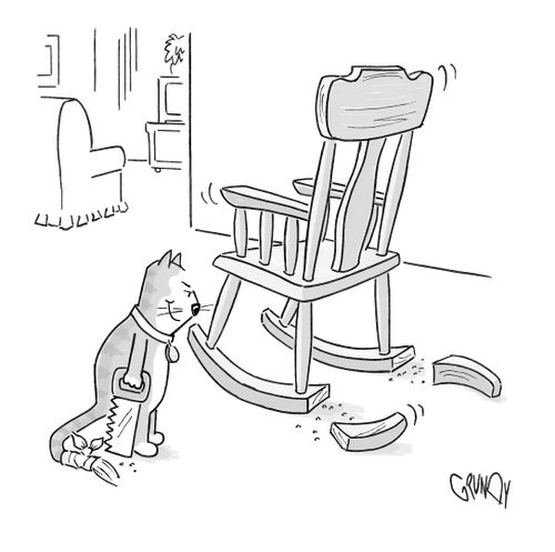 A cat with a bandaged tail looking satisfied after sawing off the feet of a rocking chair