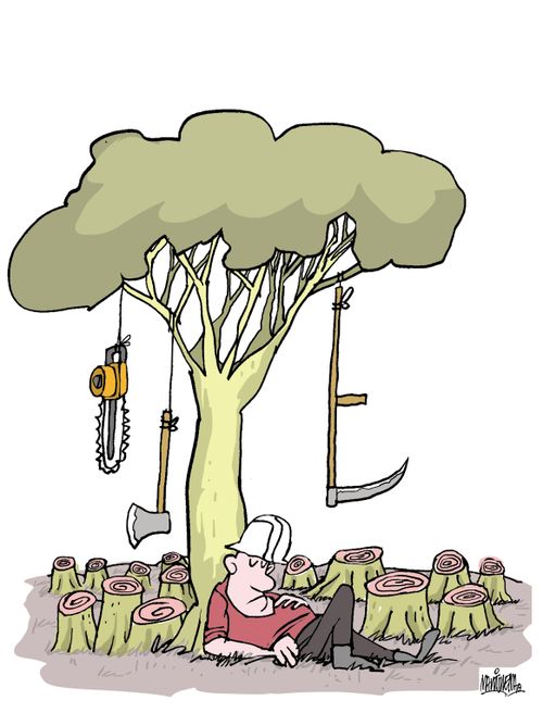 Deforestation